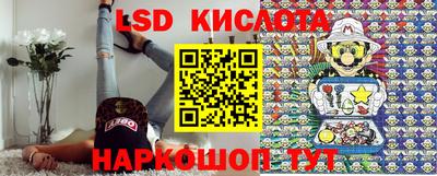 ПСИЛОЦИБИНОВЫЕ ГРИБЫ Новозыбков