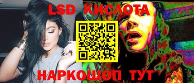 спиды Новодвинск