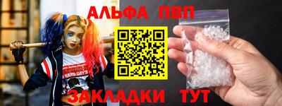 спиды Новодвинск