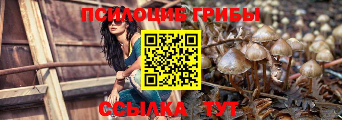 Галлюциногенные грибы Magic Shrooms Чебоксары
